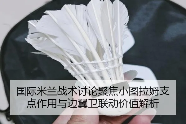 国际米兰战术讨论聚焦小图拉姆支点作用与边翼卫联动价值解析